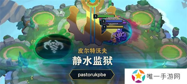 云顶之弈静水**效果介绍