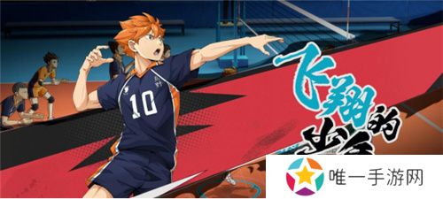 《排球少年：新的征程》国服手游评测：及川真的去给牛岛托球了，白鸟泽厨美梦成真