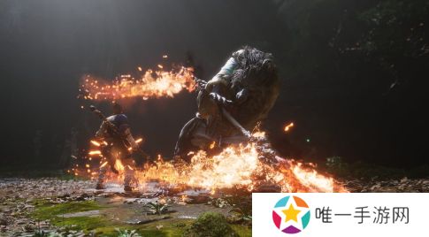 外煤谈《黑神话：悟空》成功原因：买断制、好玩等