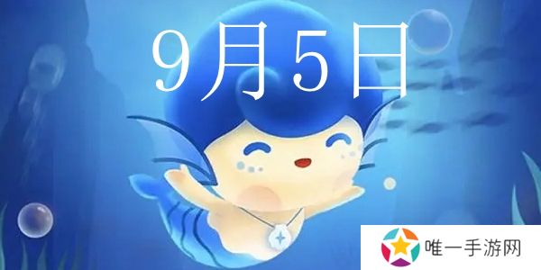 海龟的导航能力与哪一地球特性最为相关